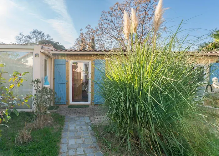 Le Houda Et En Option